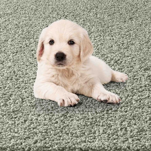 Waschbarer Shaggy | Ideal auch als Badematte | Wohnzimmer Badezimmer Küche Flur Läufer | Grün