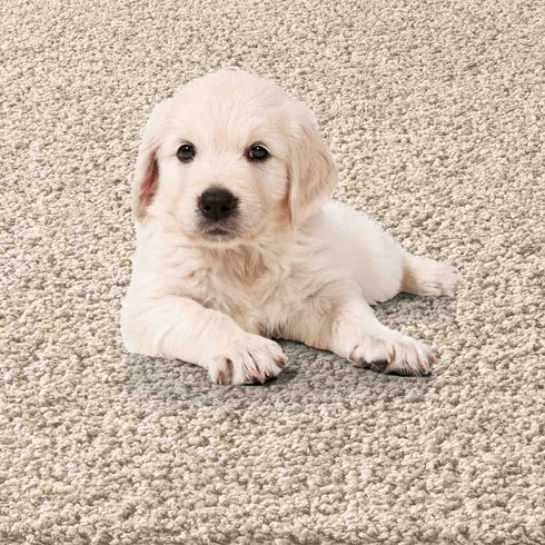 Waschbarer Shaggy | Ideal auch als Badematte | Wohnzimmer Badezimmer Küche Flur Läufer | Creme