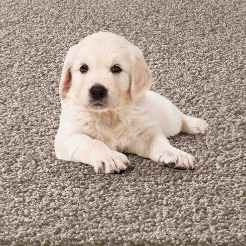 Waschbarer Shaggy | Ideal auch als Badematte | Wohnzimmer Badezimmer Küche Flur Läufer | Beige Rund